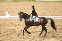 Raw_594.jpg
