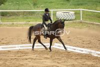 Raw_528.jpg