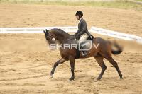 Raw_517.jpg