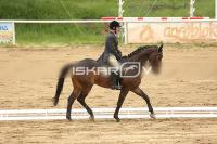 Raw_513.jpg