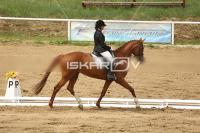 Raw_610.jpg
