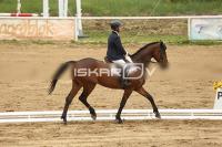 Raw_532.jpg