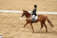 Raw_608.jpg
