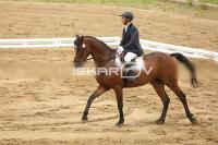 Raw_536.jpg