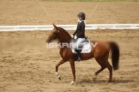 Raw_617.jpg