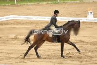 Raw_527.jpg