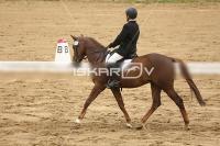 Raw_564.jpg