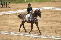 Raw_583.jpg