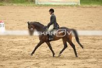 Raw_503.jpg