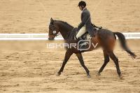 Raw_510.jpg
