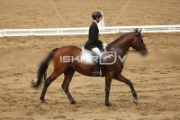Raw_578.jpg