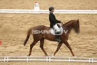 Raw_563.jpg