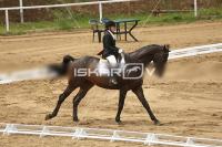 Raw_595.jpg