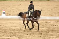 Raw_520.jpg