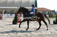 IMG_8671.jpg