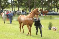 CD0A3966.jpg