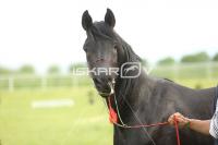 CD0A4167.jpg