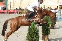 IMG_7597.jpg