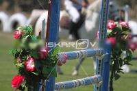 IMG_0172.jpg