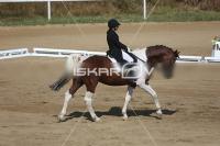 CD0A0685.jpg