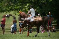 IMG_0887.jpg