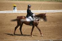IMG_3694.jpg