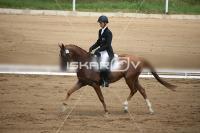 IMG_3712.jpg