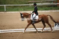 IMG_3756.jpg