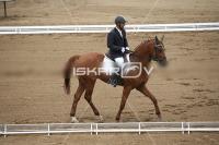 IMG_3781.jpg