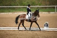 IMG_3791.jpg