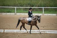 IMG_3809.jpg