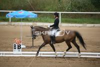 IMG_3817.jpg