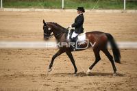 IMG_3821.jpg