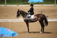 IMG_3822.jpg