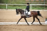 IMG_3825.jpg