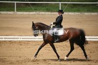 IMG_3831.jpg