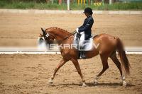 IMG_3840.jpg
