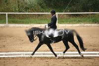 IMG_3915.jpg