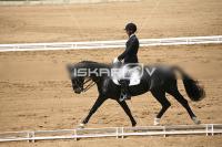 IMG_3919.jpg