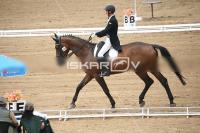 IMG_3933.jpg
