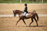 IMG_3964.jpg