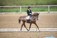 IMG_3970.jpg