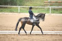 IMG_3996.jpg
