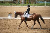 IMG_4024.jpg