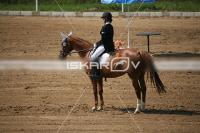 IMG_4026.jpg
