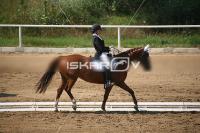 IMG_4027.jpg