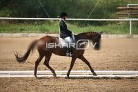 IMG_4041.jpg
