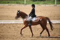 IMG_4047.jpg