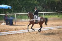 IMG_4062.jpg