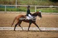 IMG_4068.jpg